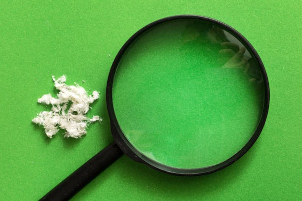 Affordable and Professional Electricians in Portland by Falcon Electric