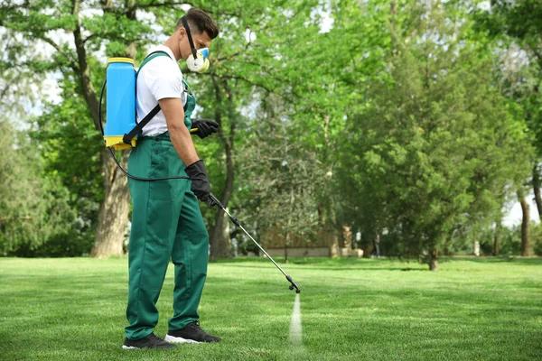 Effective Lawn Pest Control to Protect Your Grass Year-Round