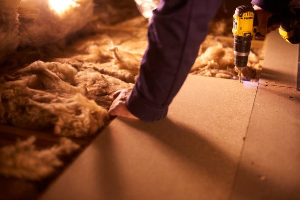Professional Attic Insulation Contractors for Home Energy Savings