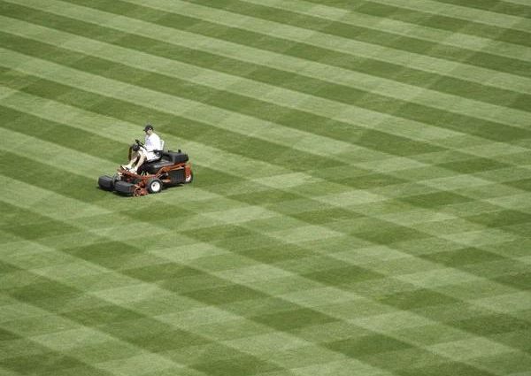 Create a Stunning Landscape with Expert Landscaping Services in Winfield PA